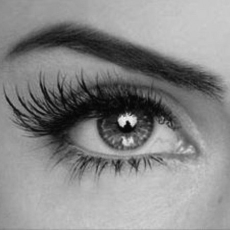 eye lashes