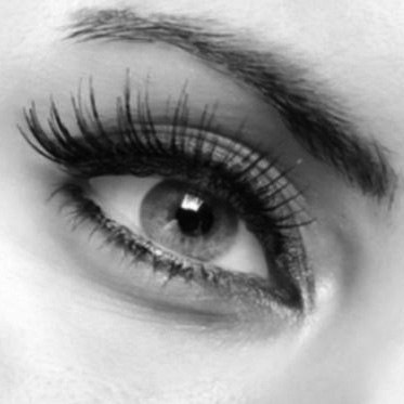 eye lashes
